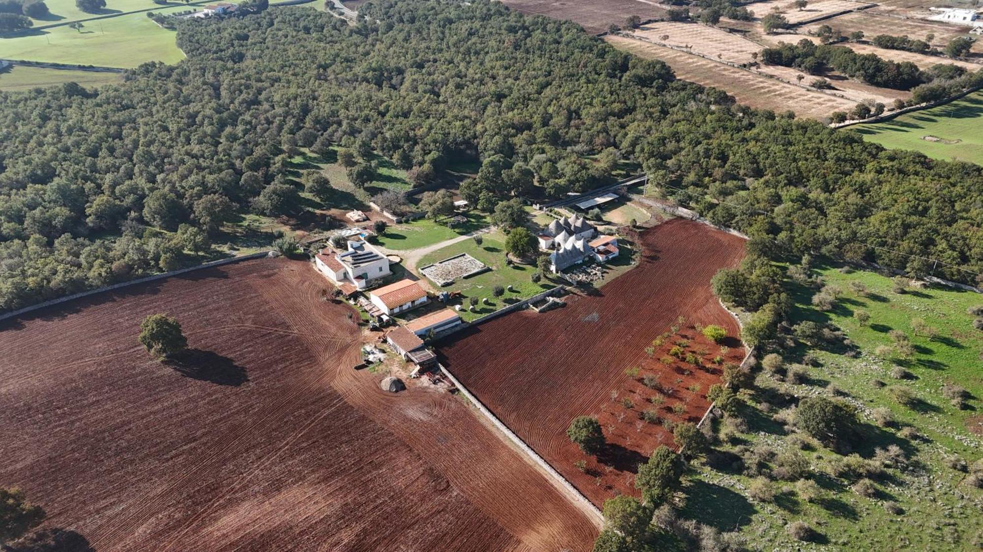 Materiis Villa Noci Eksteriør billede